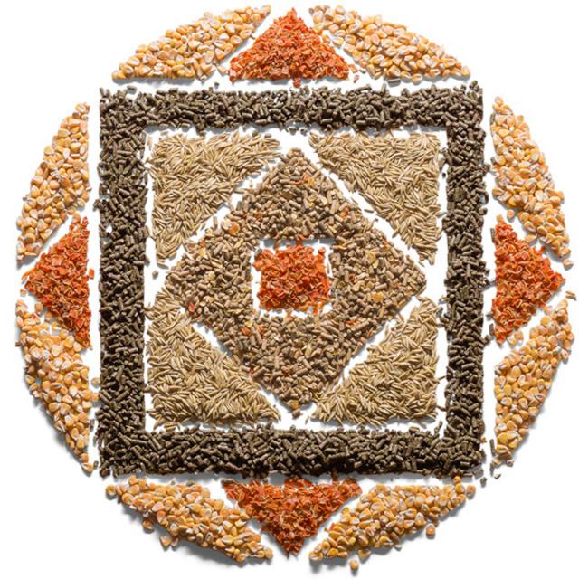 Mandala jako fotografie produktu