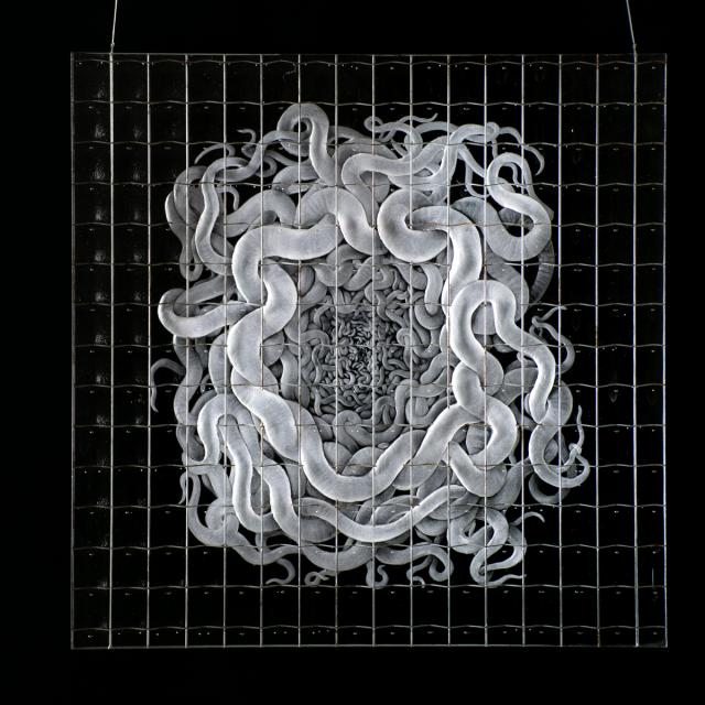 produktová foto sklo žížaly